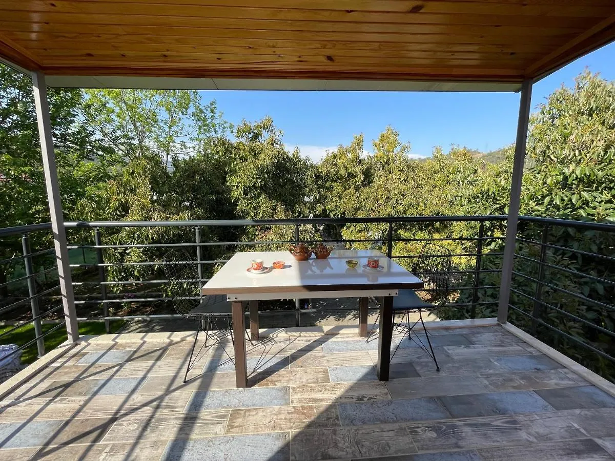 Сasa de vacaciones Avohomes Fethiye Turquía