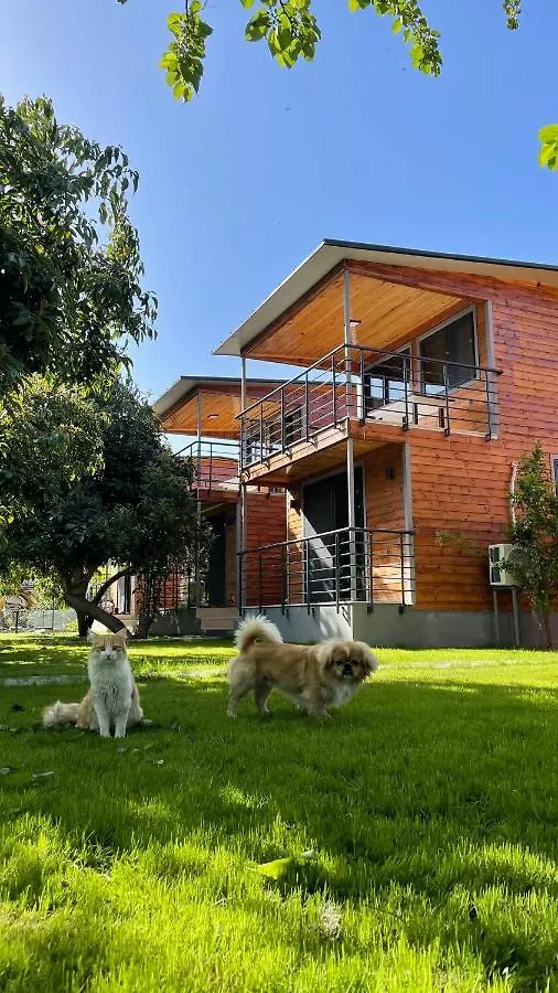 Avohomes Fethiye