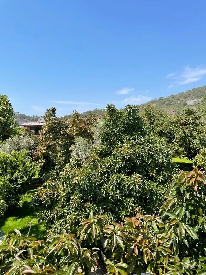 Avohomes Fethiye Сasa de vacaciones