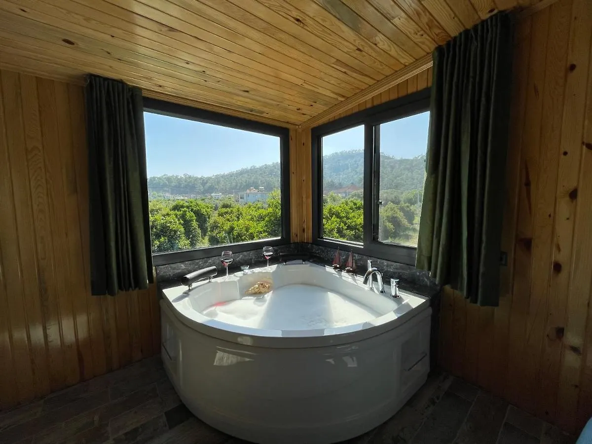 Avohomes Φετιγιέ Τουρκία