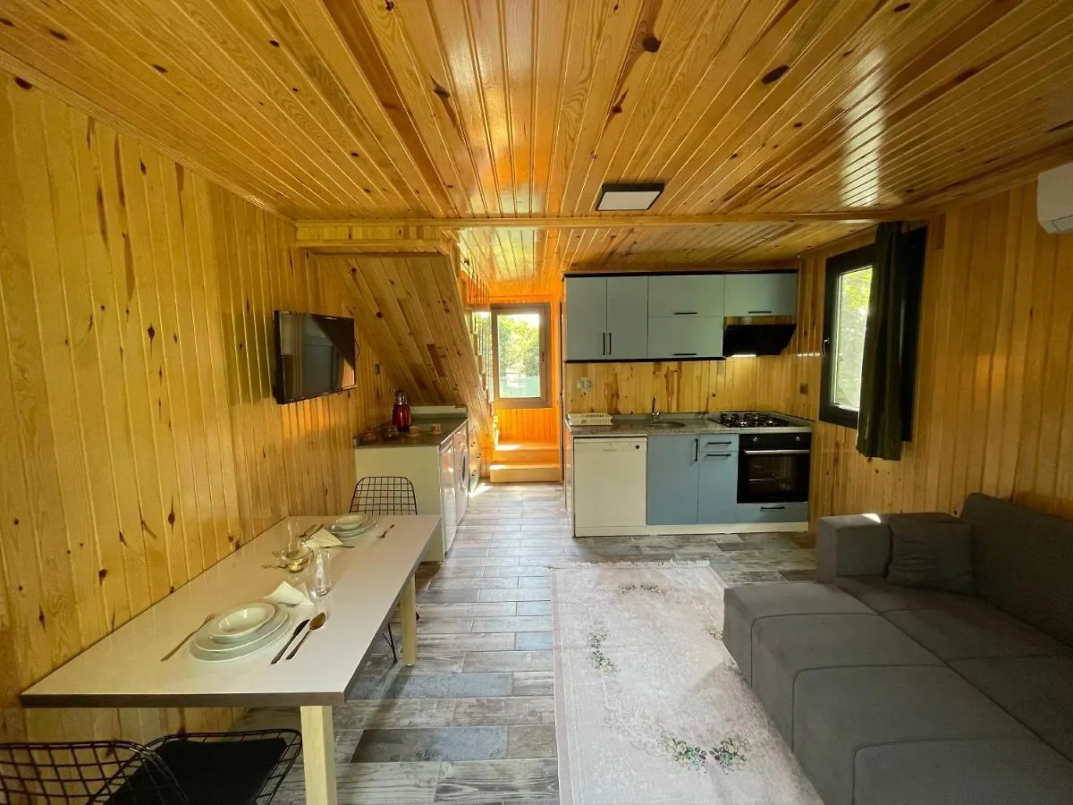 Avohomes Φετιγιέ